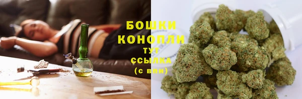 шишки Карпинск
