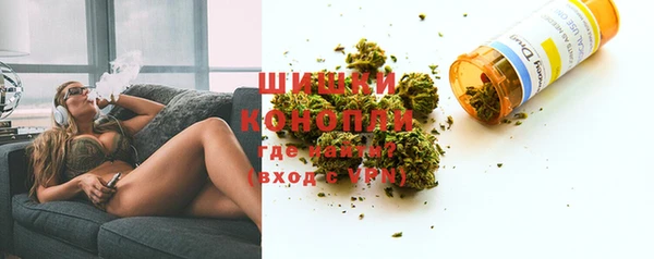 шишки Карпинск
