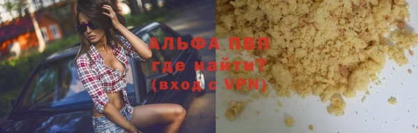 шишки Карпинск