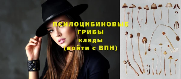 прущая мука Касимов