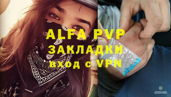 шишки Карпинск