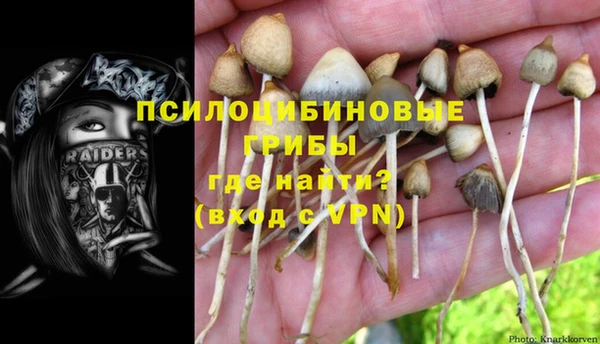 шишки Карпинск