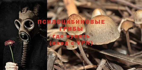 шишки Карпинск