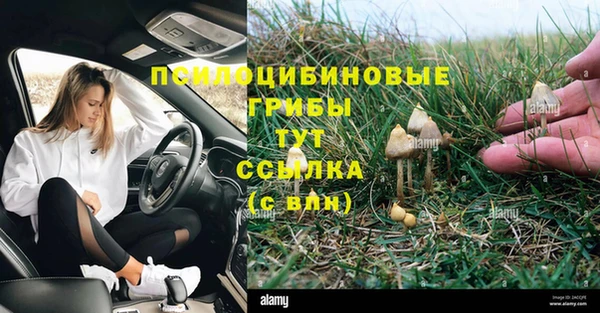 альфа пвп Карталы