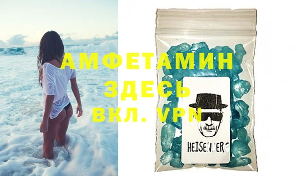 шишки Карпинск