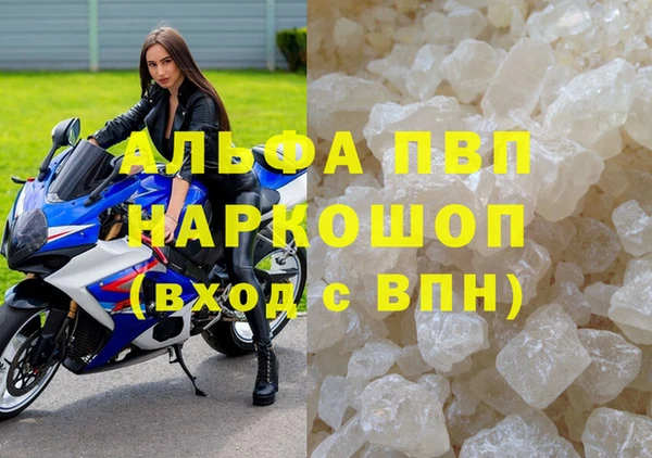 шишки Карпинск