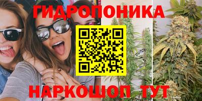 прущая мука Гай