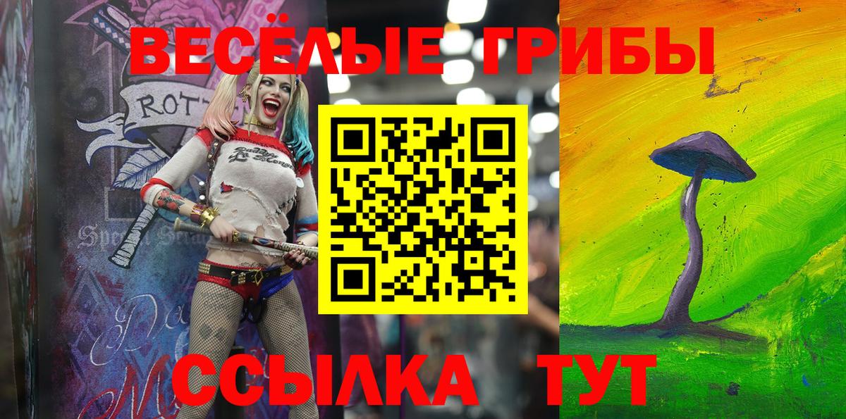 Камышин  Псилоцибиновые грибы GOLDEN TEACHER  что такое наркотик  Вход с VPN  Галлюциногенные грибы мицелий 
